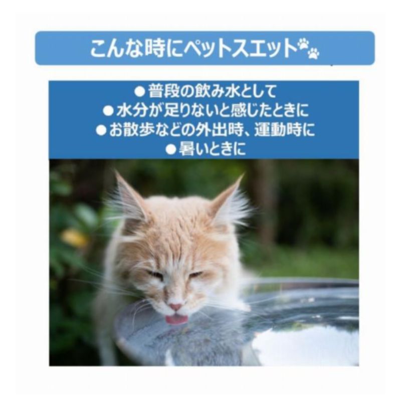 ペット ペットスエットゼリー