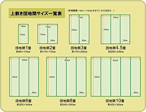 イケヒコ い草 ラグ 不知火 団地間6畳 約255×340cm 日本製 上敷き