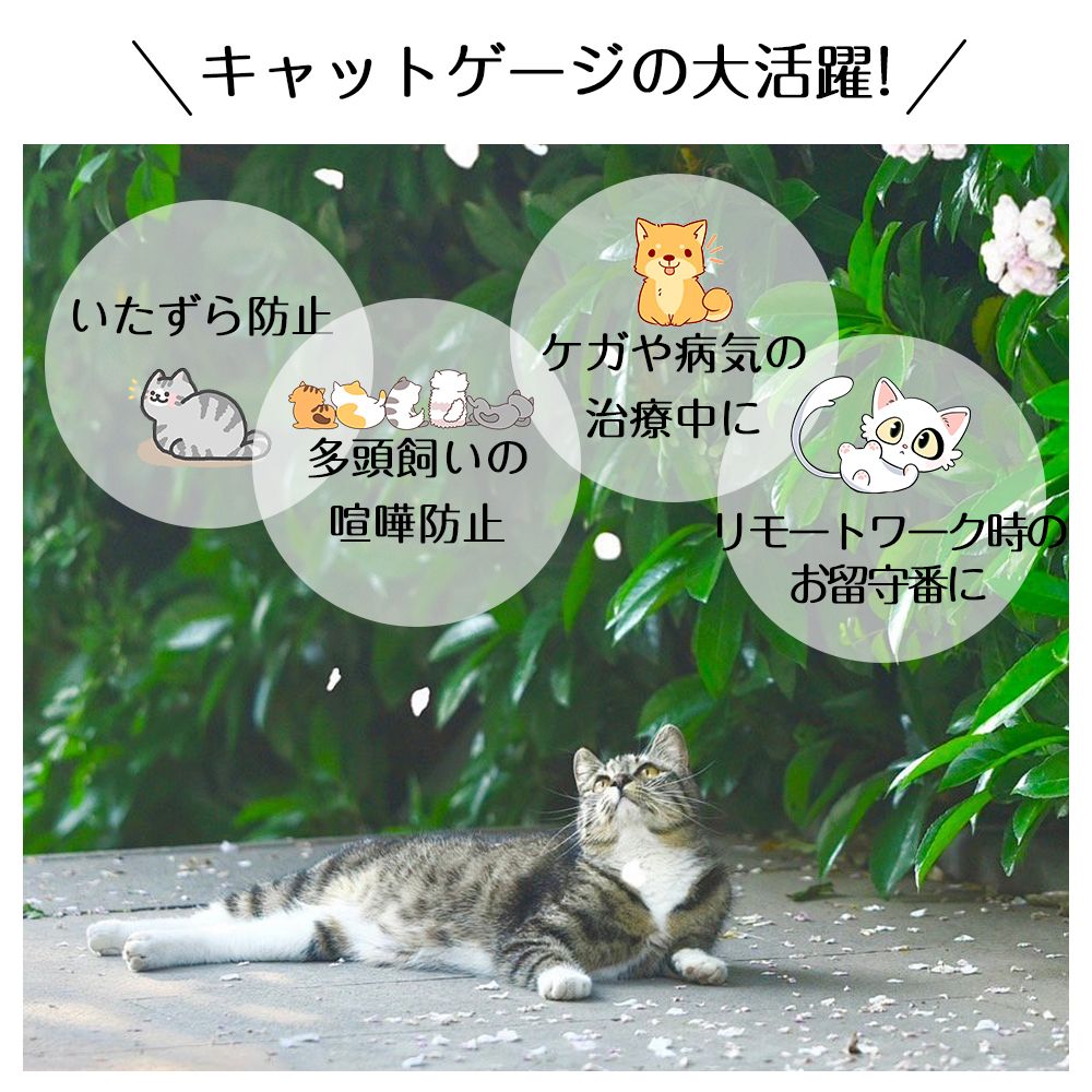 ネコ