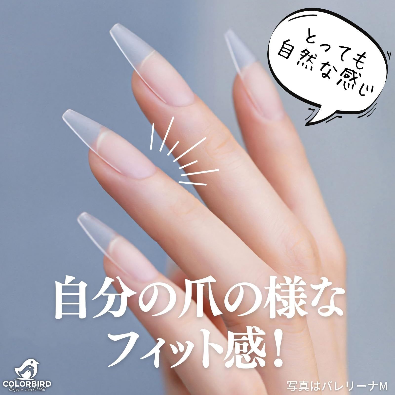 透 ネイルチップ 特売】Annhua 透明 ネイルチップ オーバル ネイル クリアチップ