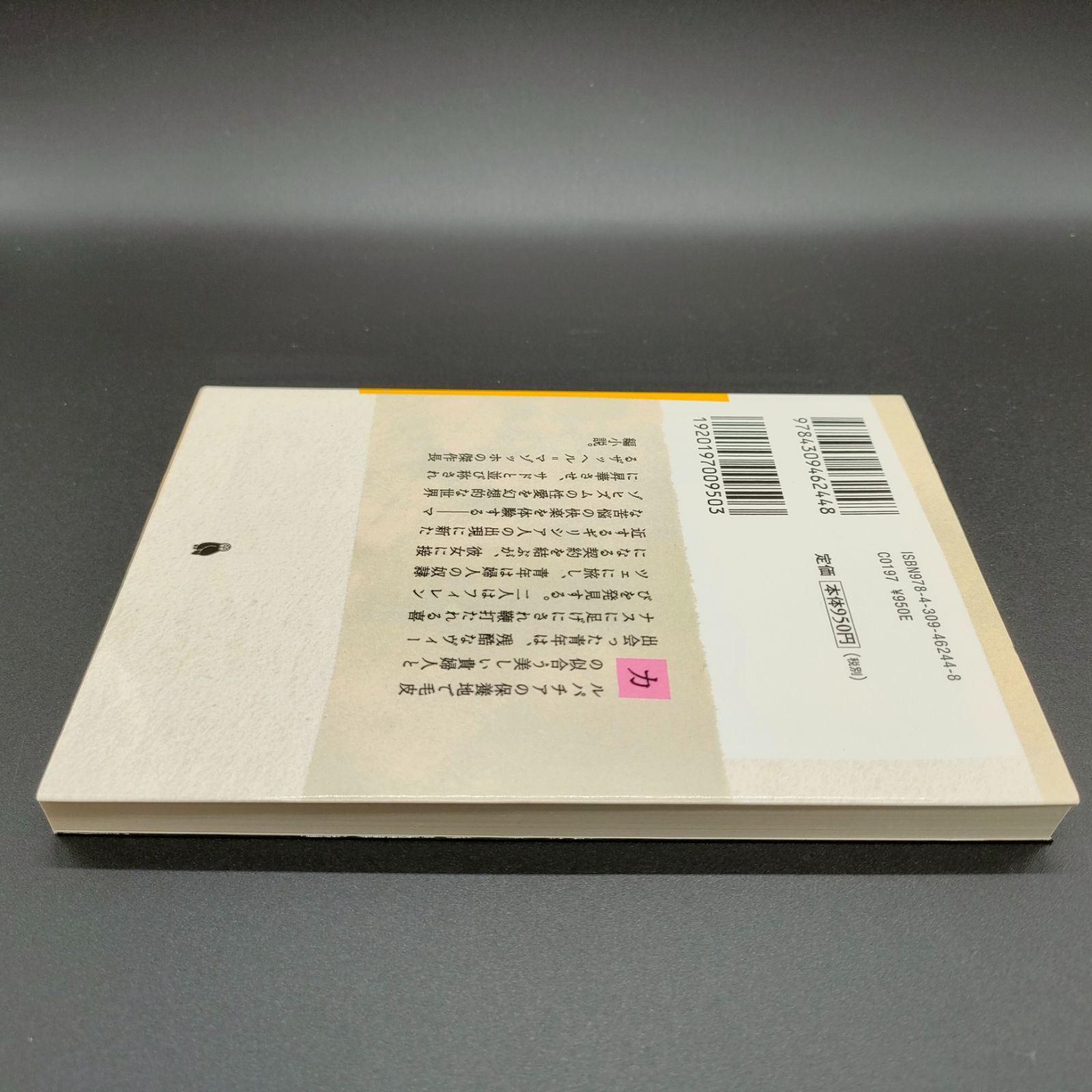 希少品　毛皮を着たヴィーナス　種村季弘 マゾヒズム][奇書] 毛皮を着たヴィーナス (河出文庫) L