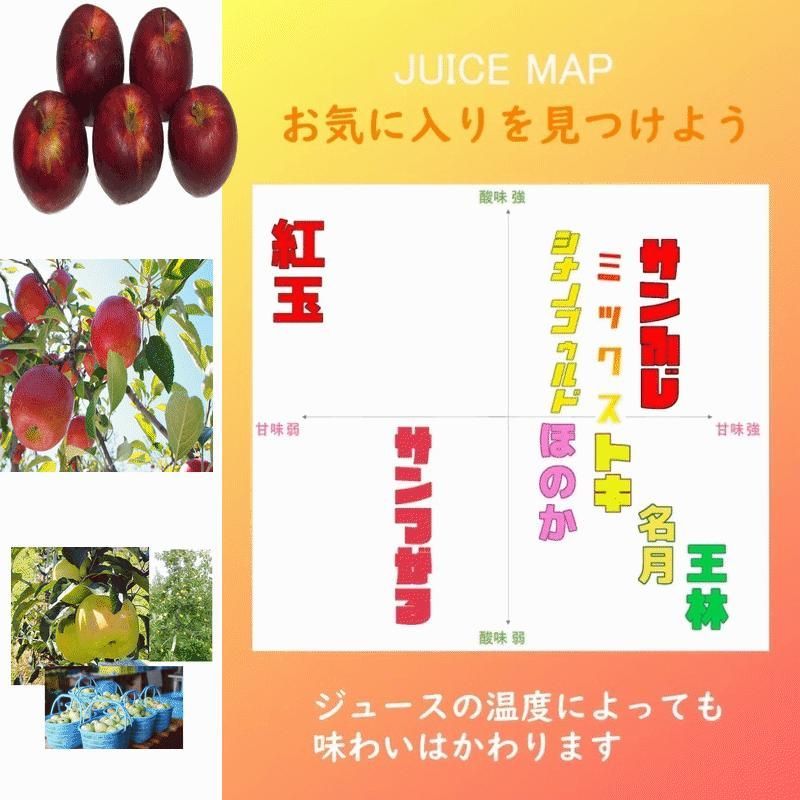 リンゴジュース 青森県産 100%ストレートりんごジュース サン リンゴジュース 青森県産 100%ストレートりんごジュース サン