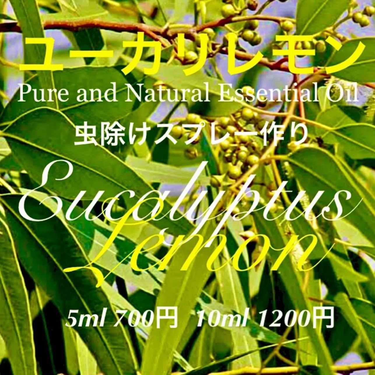 こねパン様ご