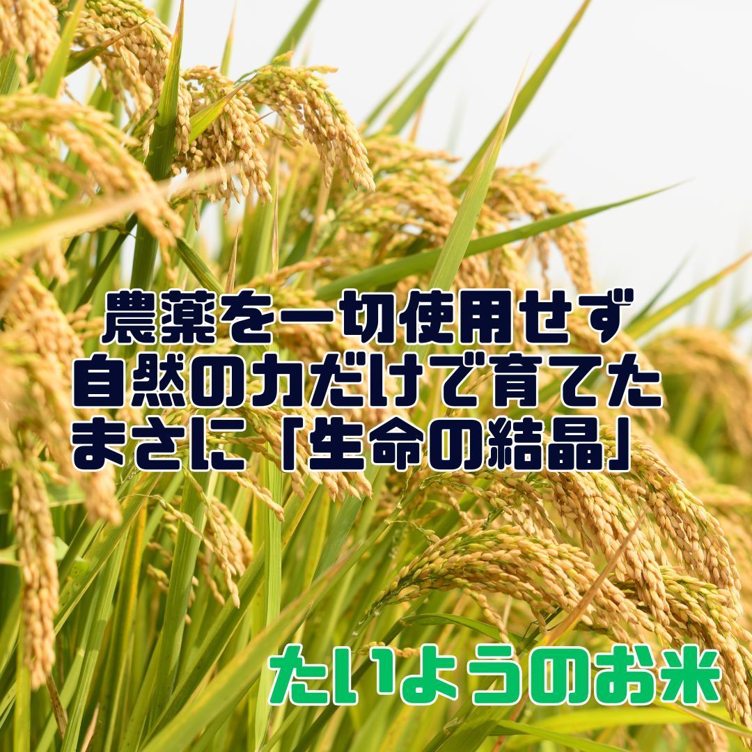 農薬不使用 自然栽培
