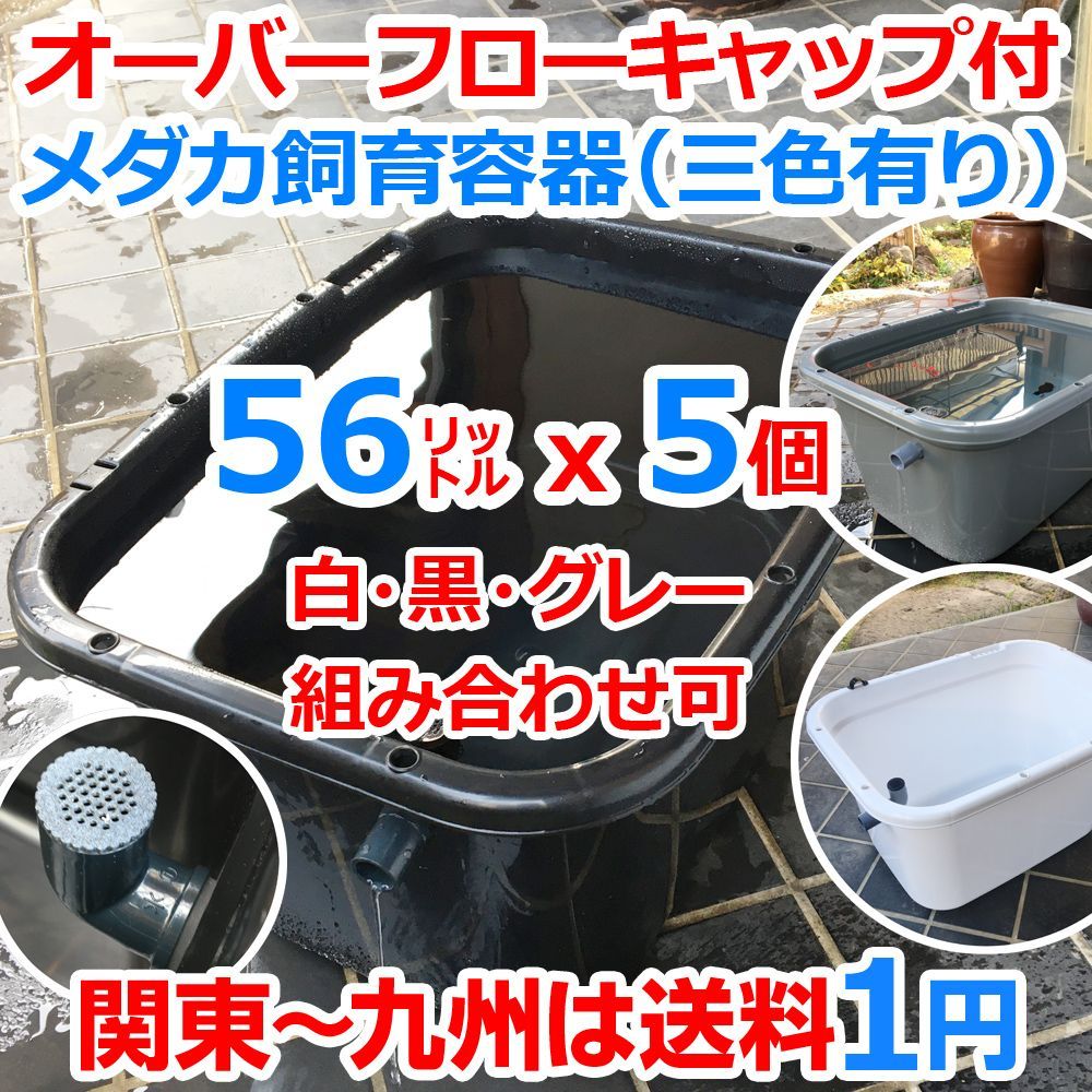 五色アクア メダカ飼育ケース 56㍑x5個 三色有り オーバーフローキャップ付 越冬に最適なメダカ飼育容器 大雨でも安心 金魚 らんちゅう 水草 睡蓮 ビオトープ めだか水槽 タライ トロ舟 金魚鉢