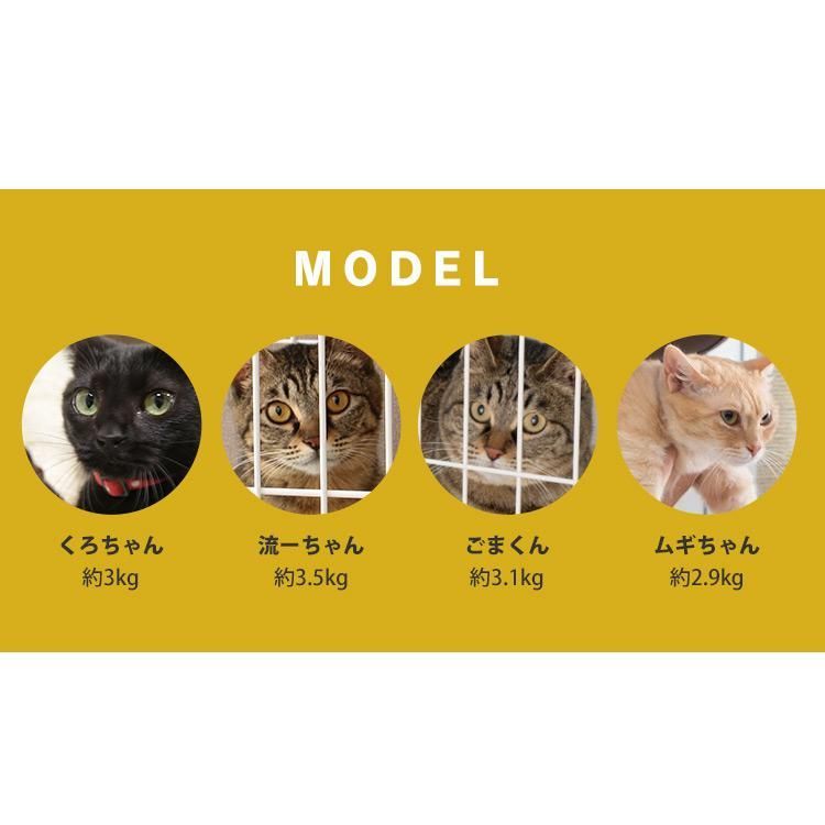 3段 大型