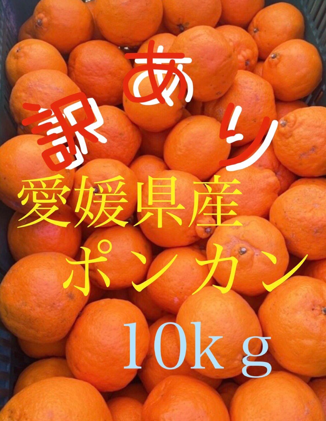 愛媛県産 ぽんかん約10Ｋｇ - 果物