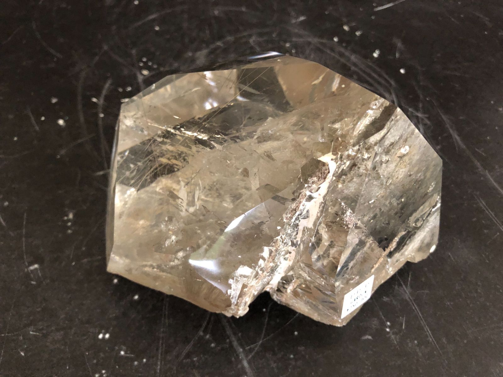 ガーデンルチルポイント ブラジル産