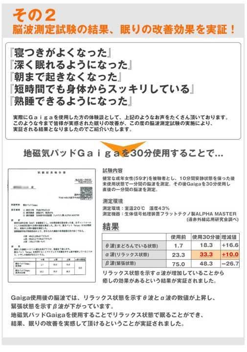 地磁気パット Gaiga