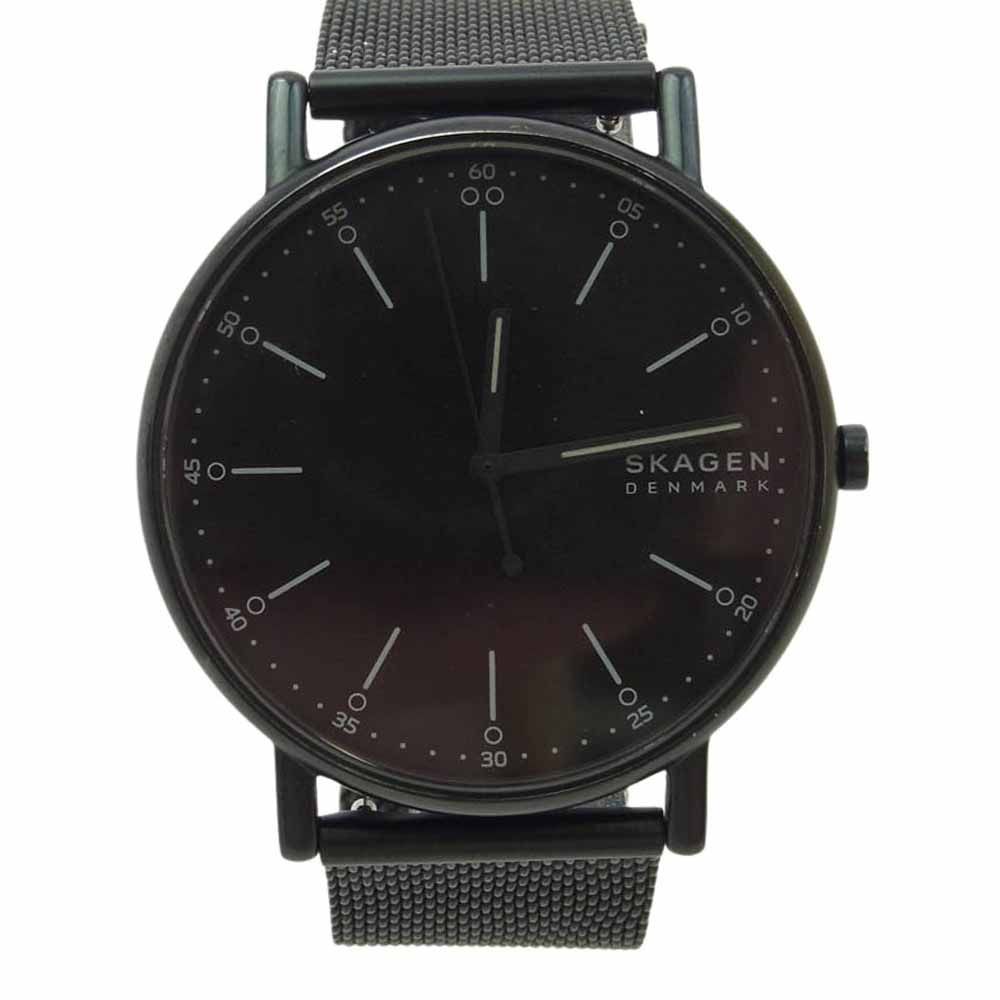 SKAGEN スカーゲン SKW6579 Signatur シグネチャー 三針