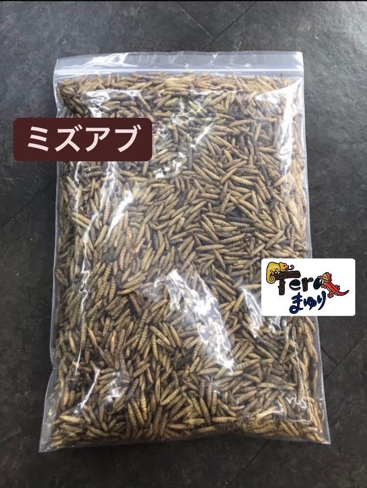 乾燥ミズアブ3kg フェニックスワーム アメリカミズアブ バグズプレミアム