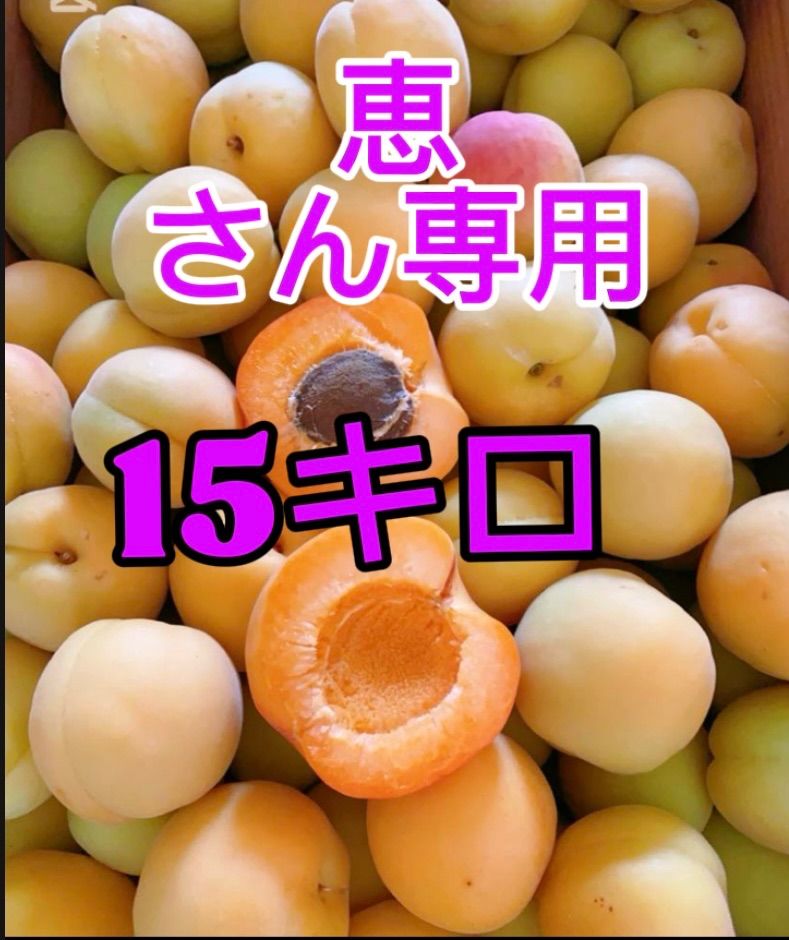 恵さん 八助梅 15キロ箱込み