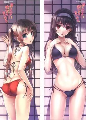 ポスター アニメ 深崎暮人先生描き下ろしミニお風呂ポスター 2種 英梨々＆詩羽 冴えない彼女の育てかた 文庫4巻＆コミックス1巻 とらのあな連動 特典