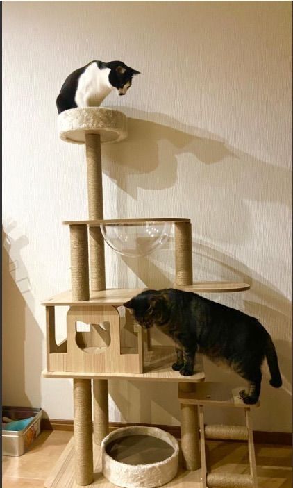 キャットタワー ネコタワー木製 据え置き 高さ143cm 猫 新品 - メルカリ