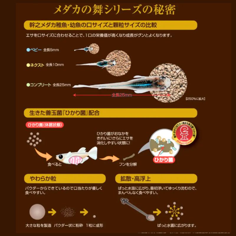 キョーリン メダカの舞
