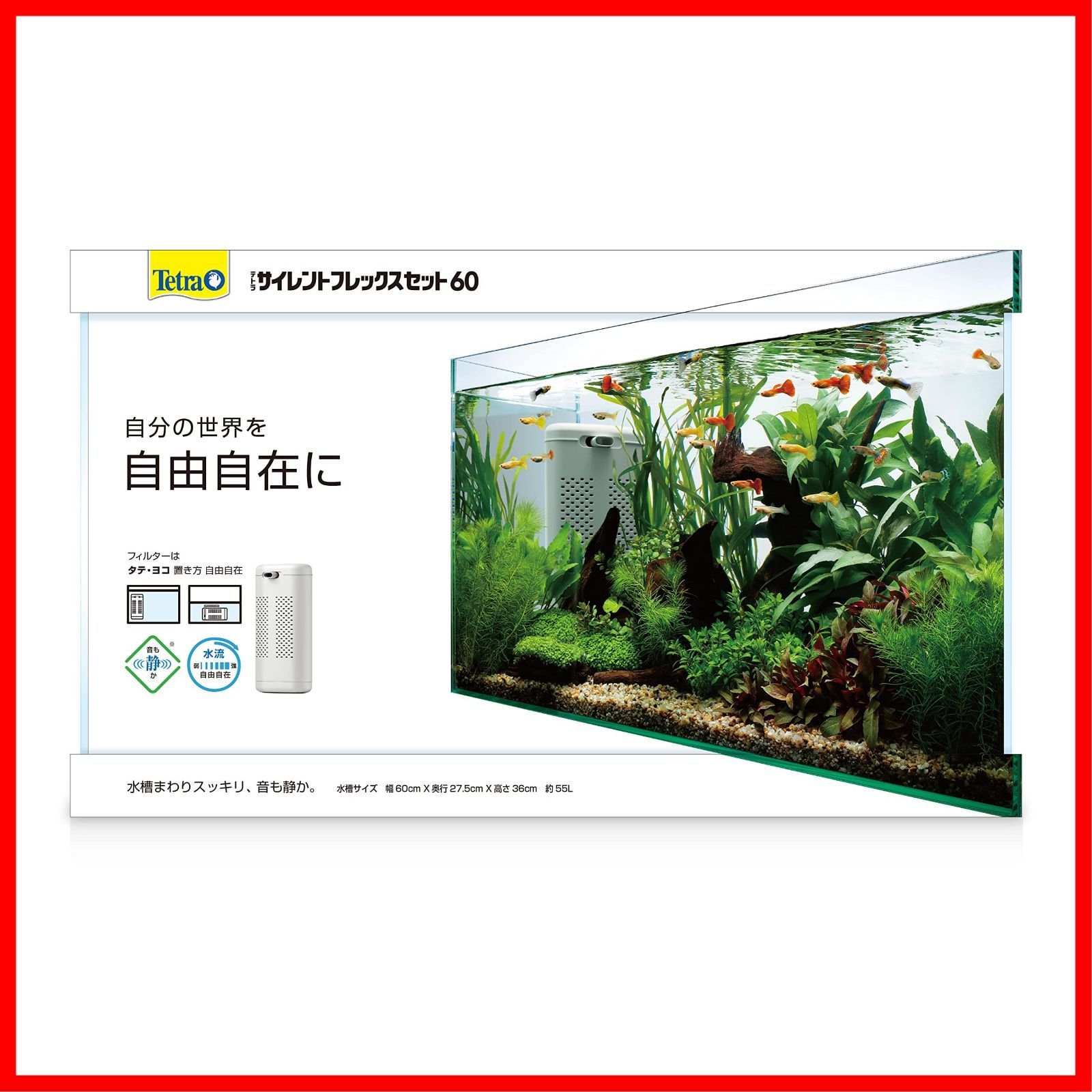 熱帯魚