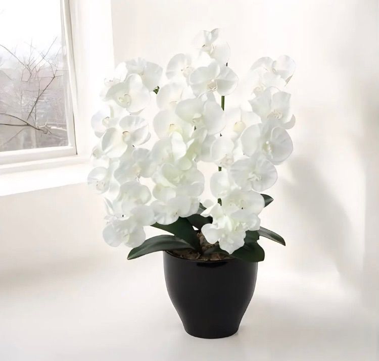 光触媒 人工観葉植物 フェイクグリーン プレミアム胡蝶蘭W/AB 光触媒