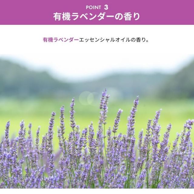 公式 洗濯洗剤