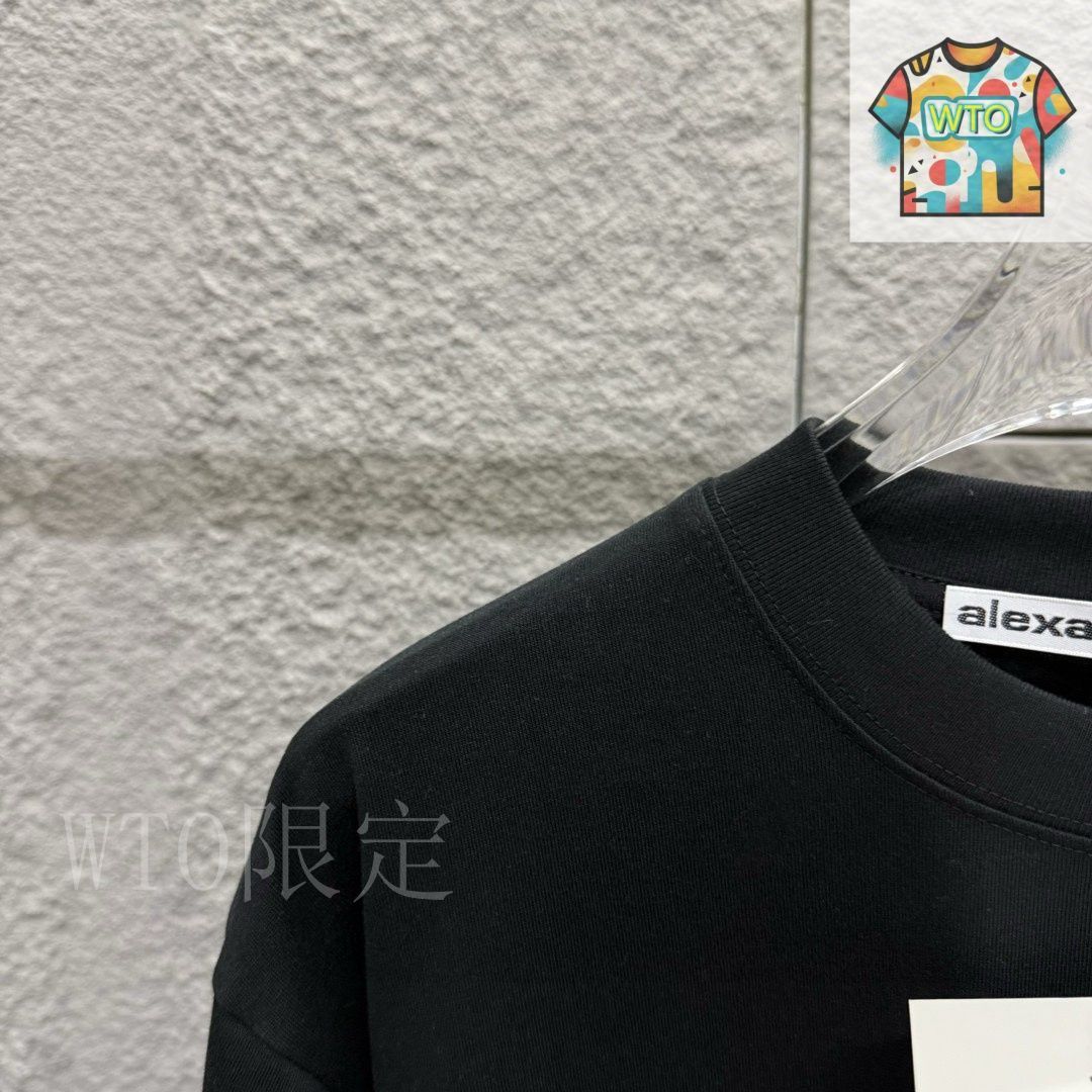 今日特価】Alexander Wang 胸前 Wang 刺繍 後背印花 T - メルカリ