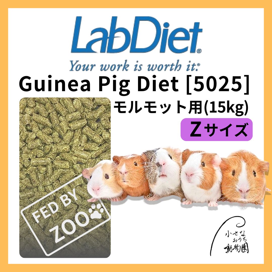 ギニアピッグダイエット