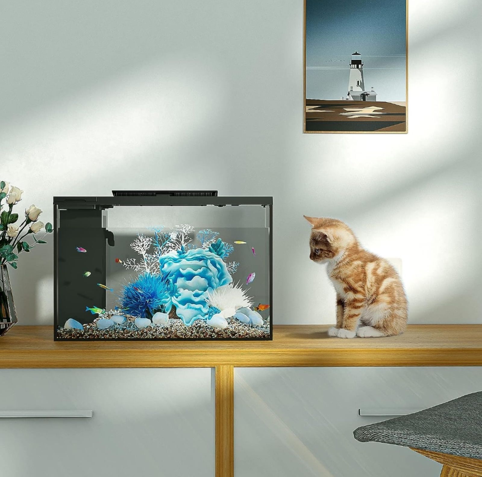 アクアリウム ベタ水槽セット