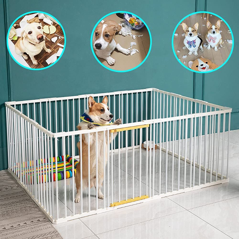 工具不要 中小型犬