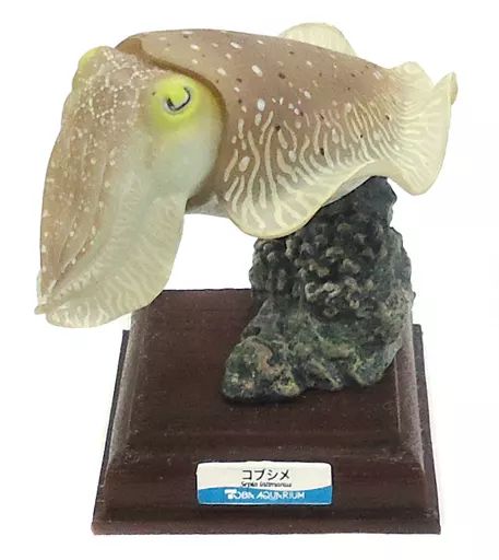 中古】トレーディングフィギュア 03 コブシメ 「ネイチャー