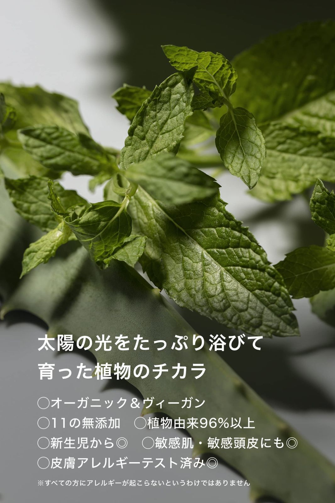親子で使える