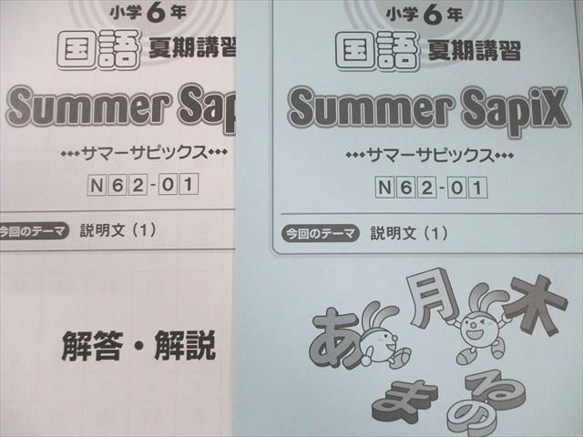 SAPIX 小6 サピックス デイリーA/B/スプリング/サマー 国語 通年セット 【計99回分】 2024 ★ 290L2D SAPIX 小6 サピックス デイリーA/B/スプリング/サマー 国語 通年