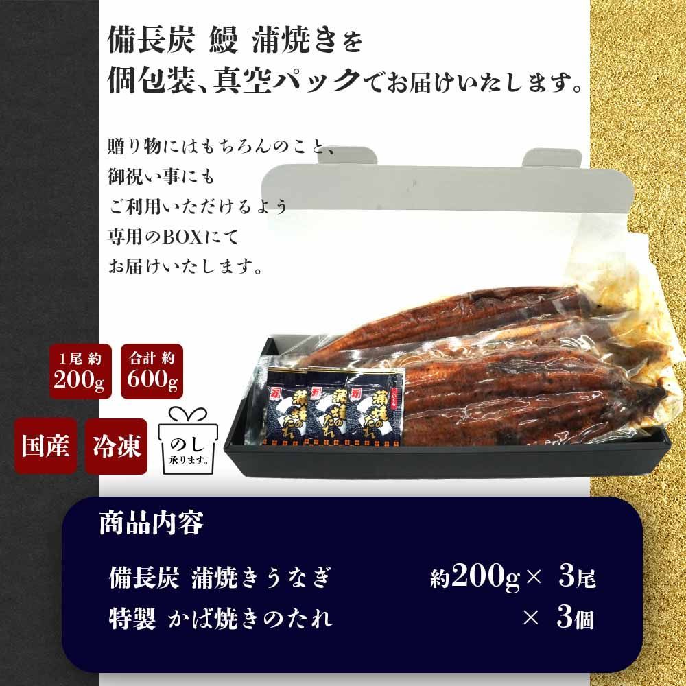 うなぎの蒲焼き特大サイズ (200g×3尾) 愛知県三河一色産【うなぎ専門店