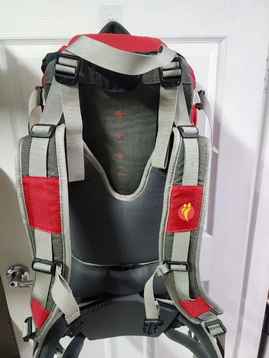 リトルライフ 離乳する ハイキングバックパック