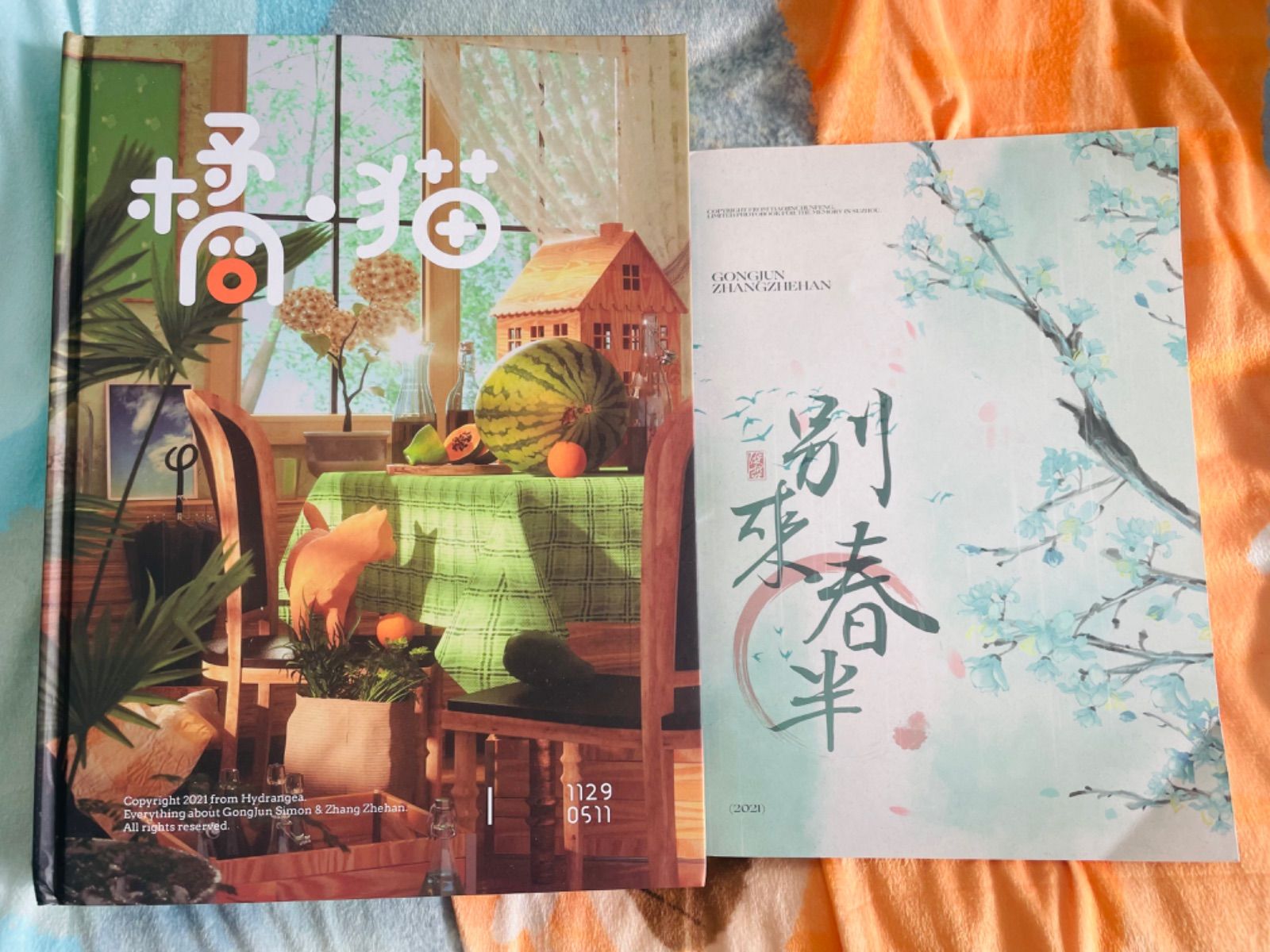公式正規品 山河令 「橘猫」「别来春半」写真集 photobook セット 