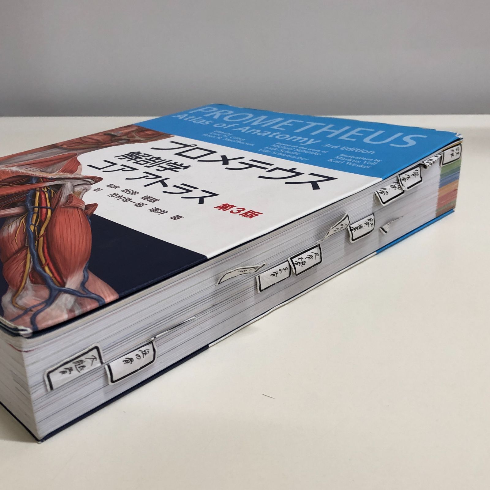 プロメテウス解剖学コアアトラス　第3版 Amazon.co.jp: プロメテウス解剖学 コア アトラス 第3版 : 坂井