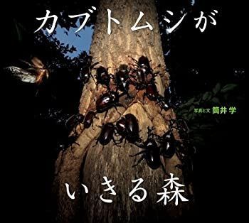 【中古-非常に良い】 写真絵本 カブトムシが生きる森 (小学館の図鑑NEOの科学絵本)