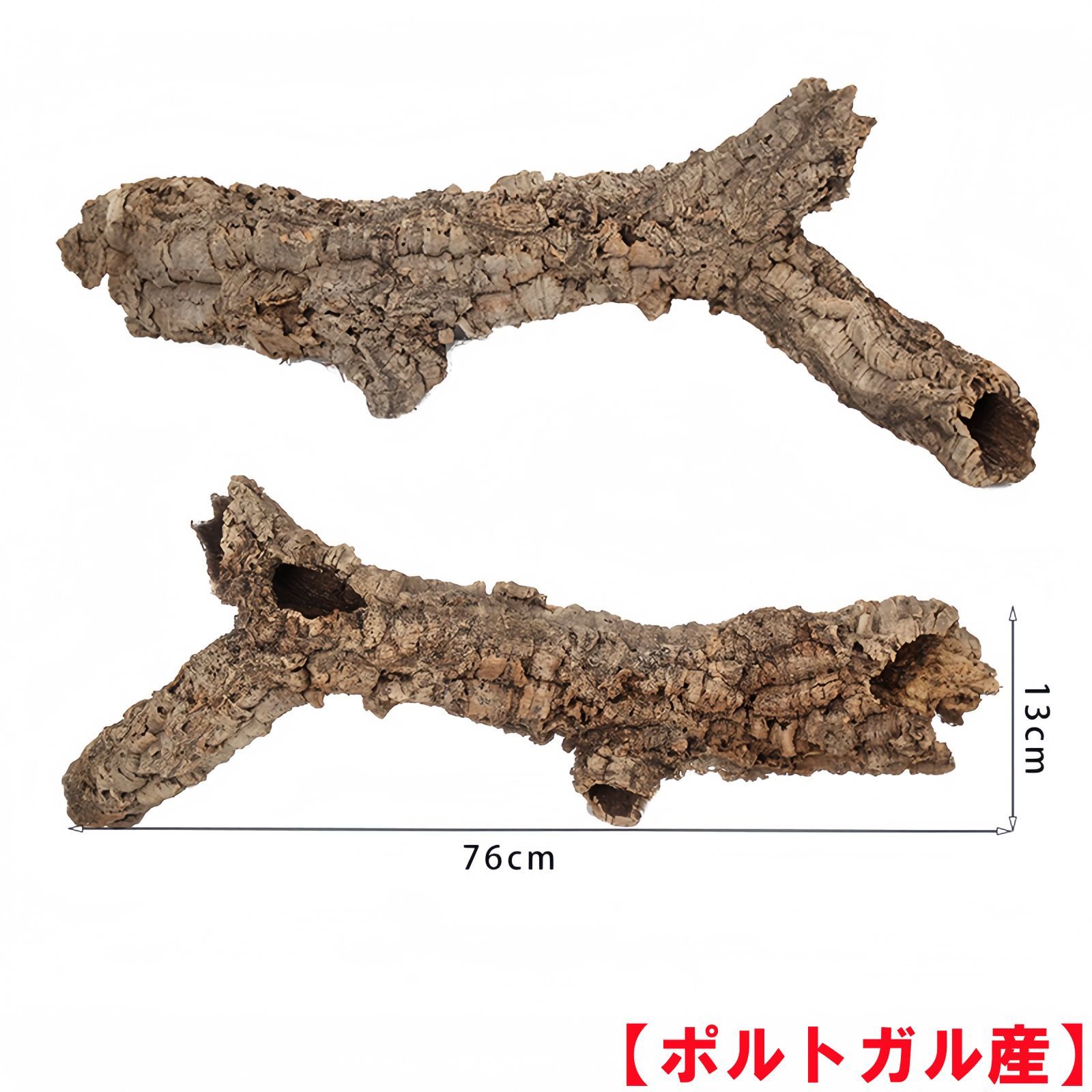 D028 ポルトガル産 キャノンコルク コルク樹皮 コルク板 バージンコルク 送料無料 チランジア ビカクシダ 着生ラン 両生類 爬虫類