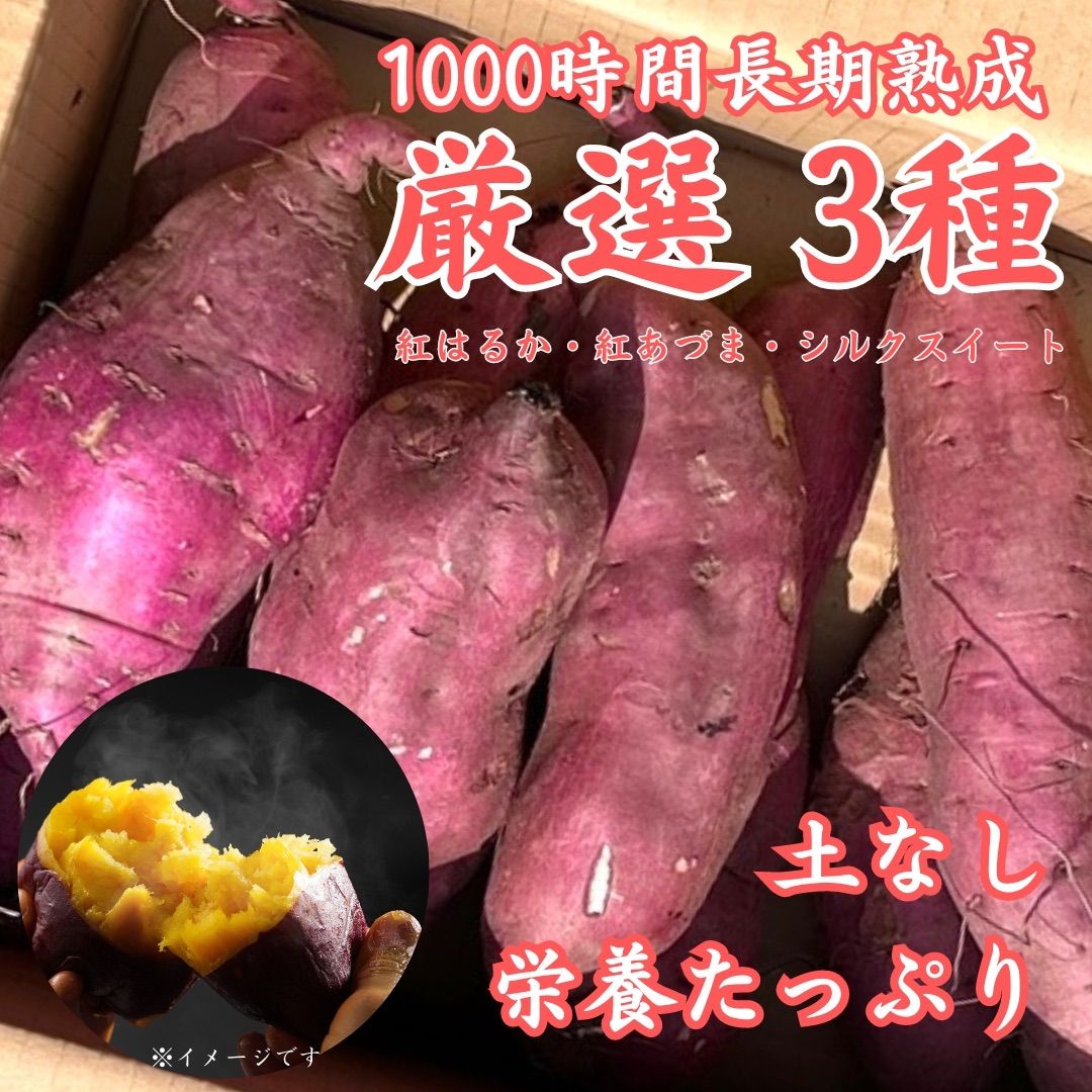 さつまいもシルクスイート紅はるか１０kg - 野菜