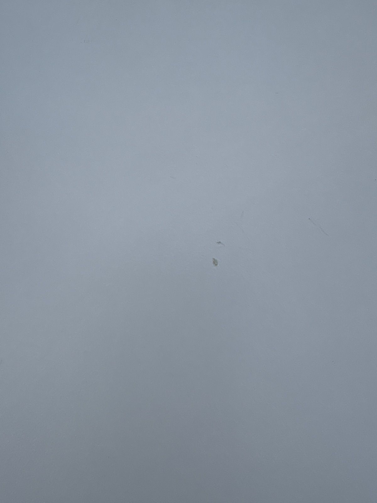 イケア 伸長式テーブル IKEA VANGSTA ヴァングスタ 180 120x75 サイズ変更可 ホワイト ダイニングテーブル 家具 一軒家 インテリア 4人掛け 6人掛け 4p 6p イス 椅子 テオドレス 4脚 倉庫前引取り げあり MARWIL-DEMENAGEMENTS_CH