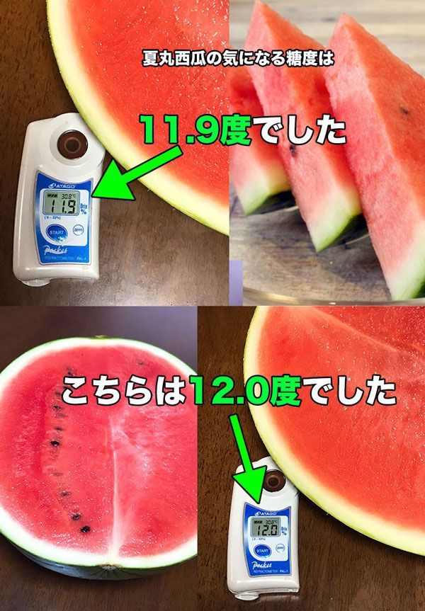 中国香瓜10kg クール便 韓国 香瓜小号 約190-200g （5個セット） 冷凍商品と同梱不可