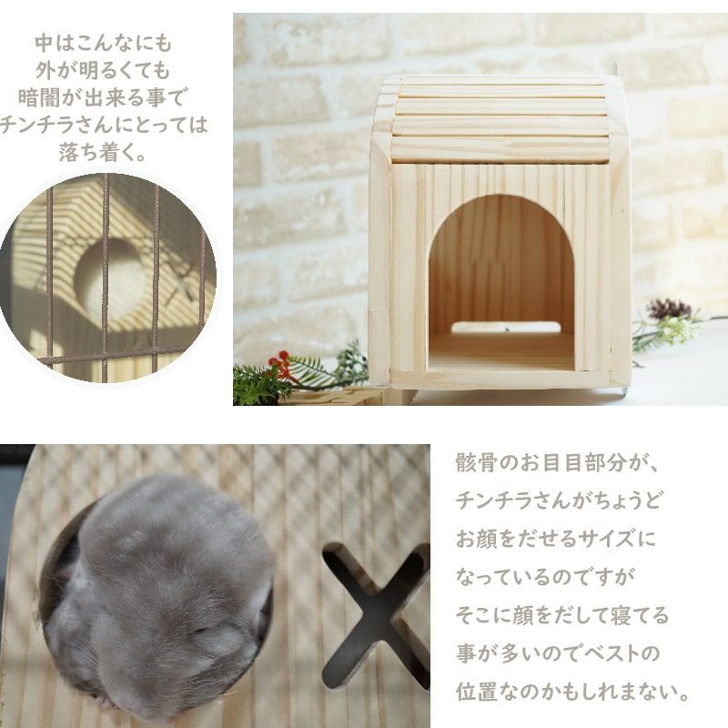 チンチラ