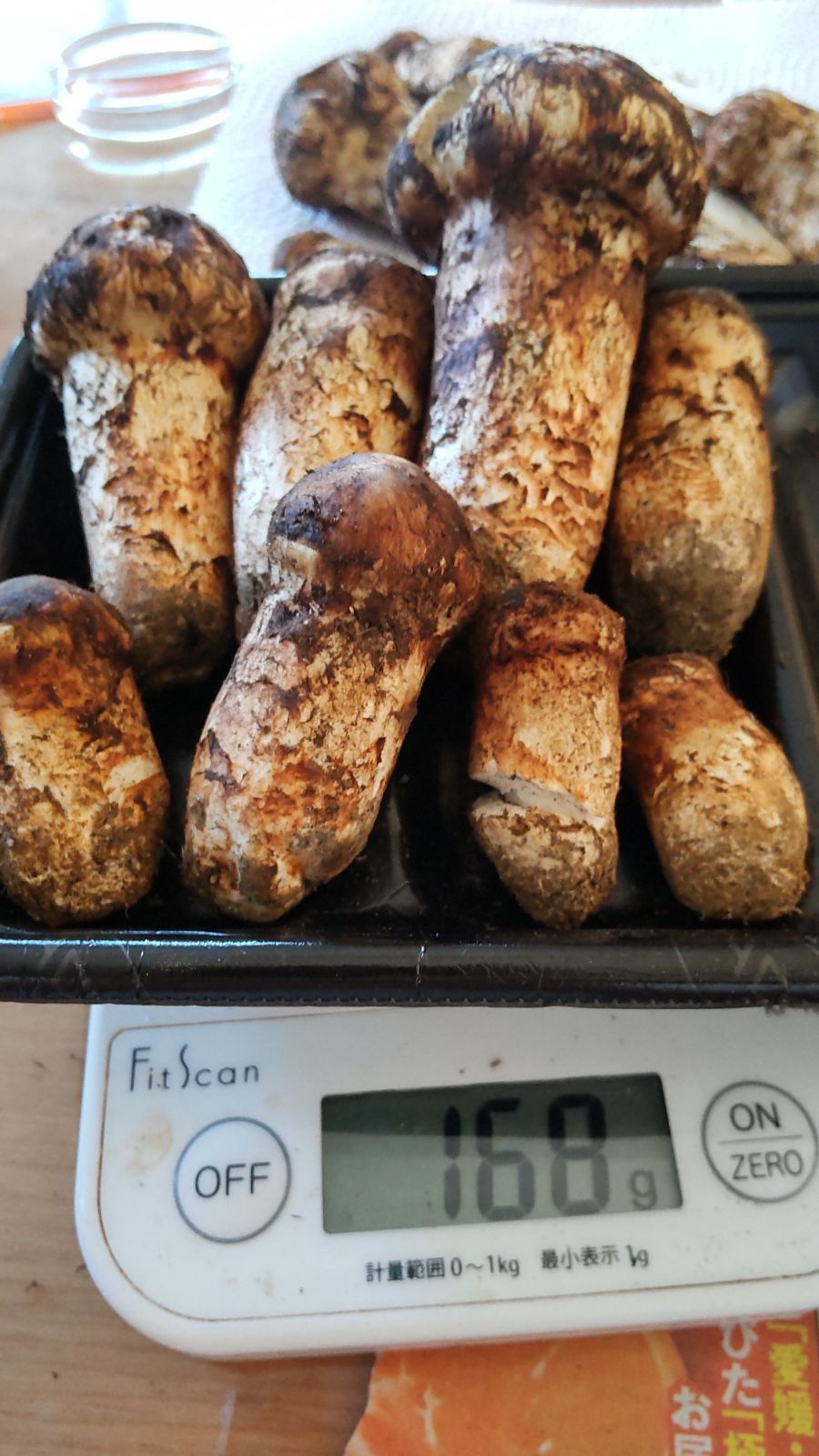 岩手県産松茸24日収穫クール込み