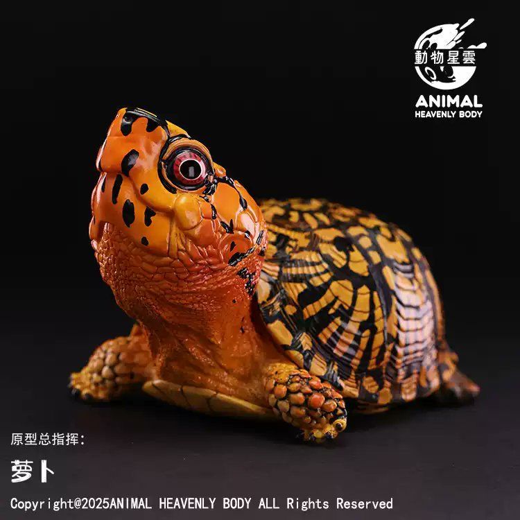 11月発売予定！【動物の惑星】トウブハコガメ（オレンジ）フィギュア