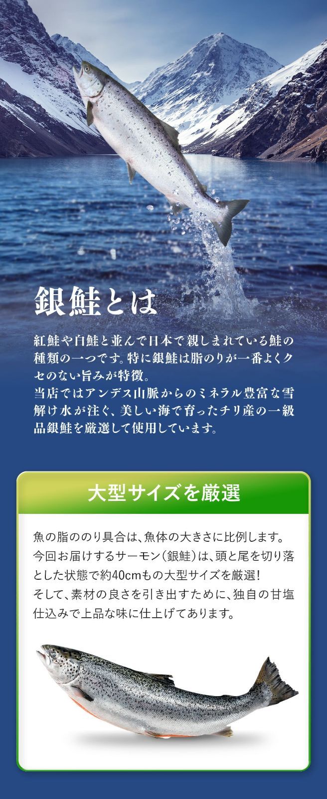 定塩