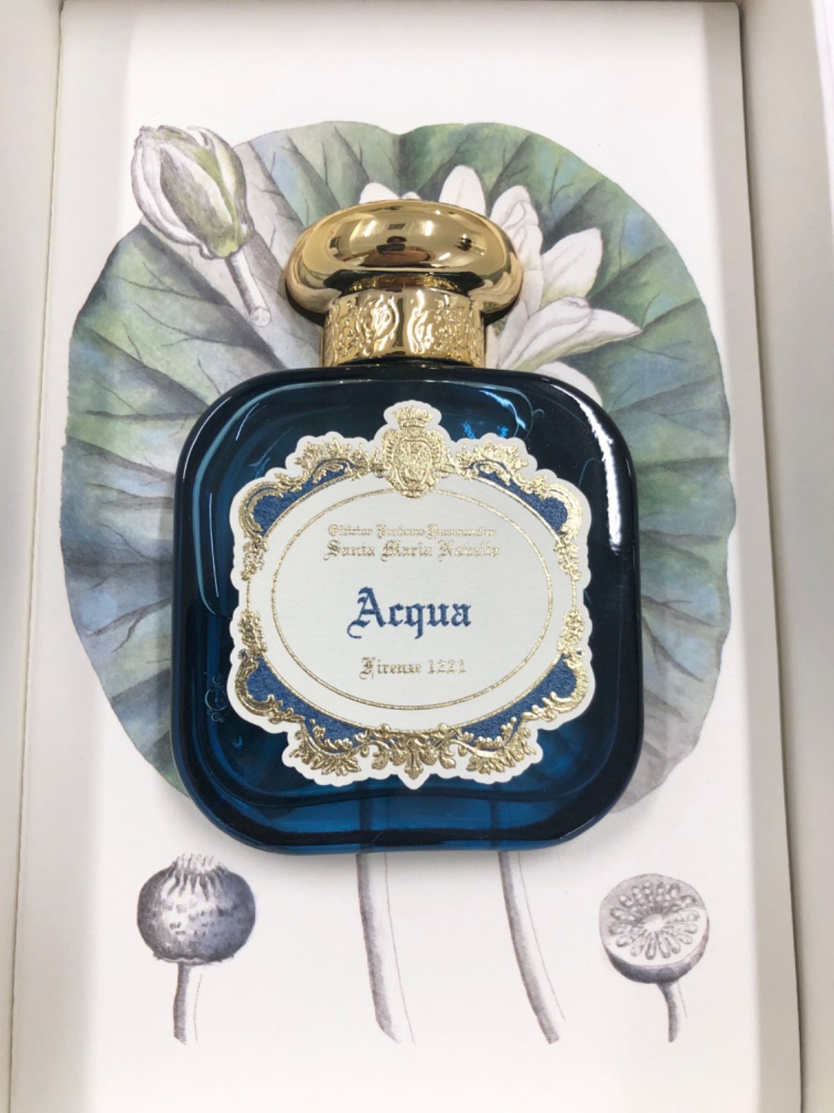 252220686 【 最終値下げ】 サンタマリアノヴェッラ アクア 50ml