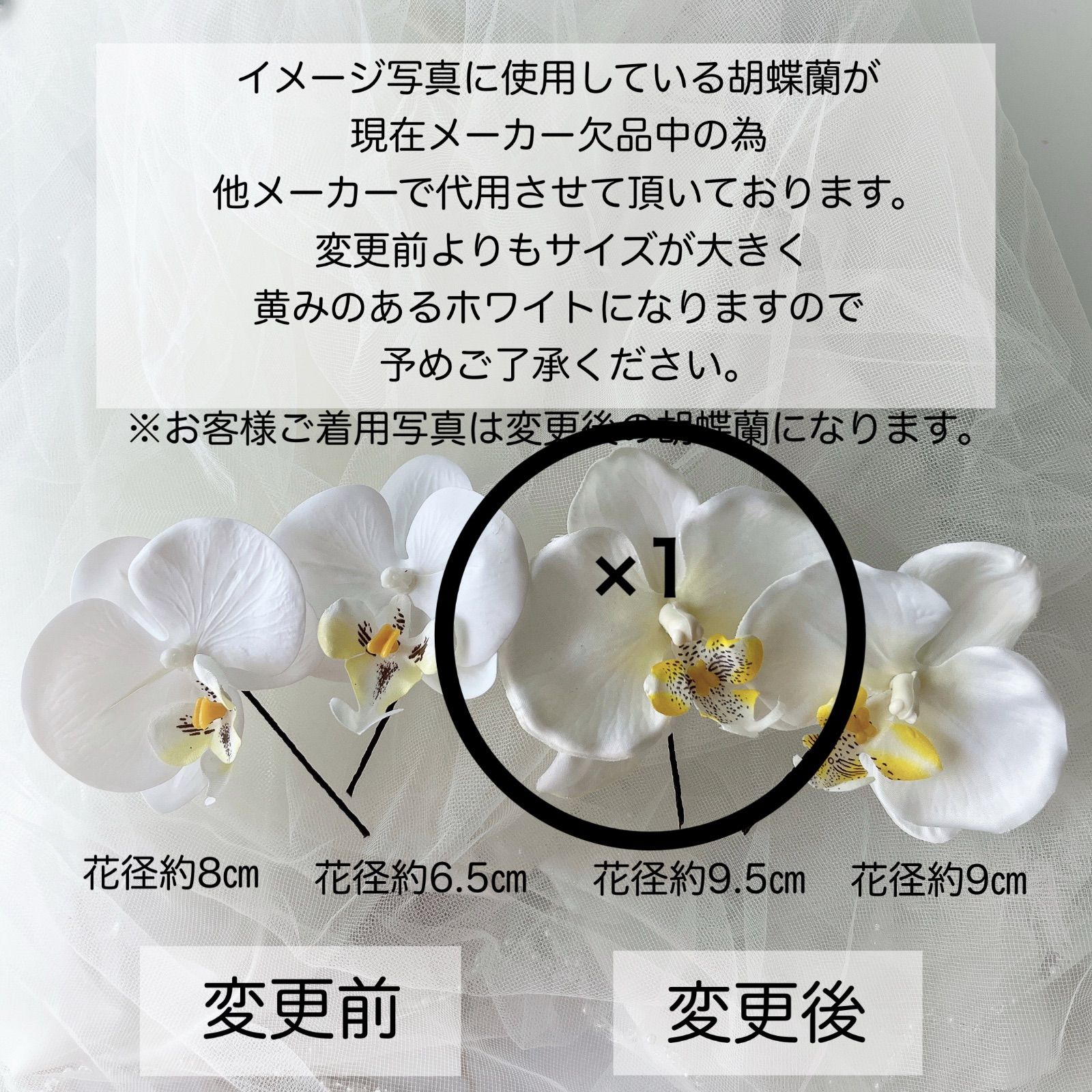 1点追加 Goto様