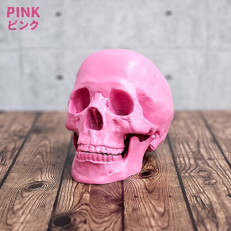 ガイコツ 置物 ドクロ 置物 スカル オブジェ スカルヘッド 骸骨 SKULL