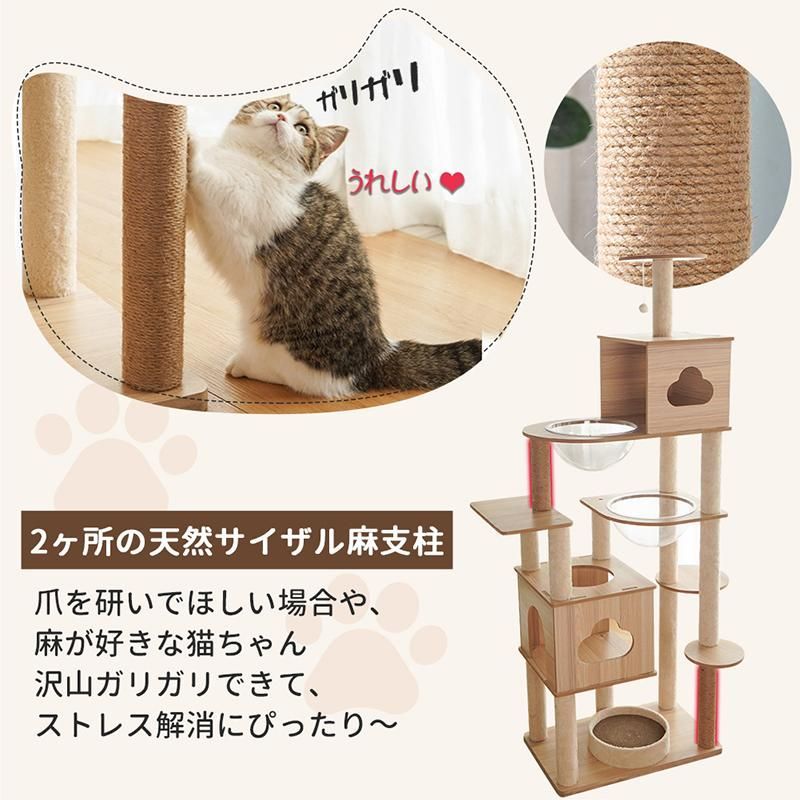 おしゃれ