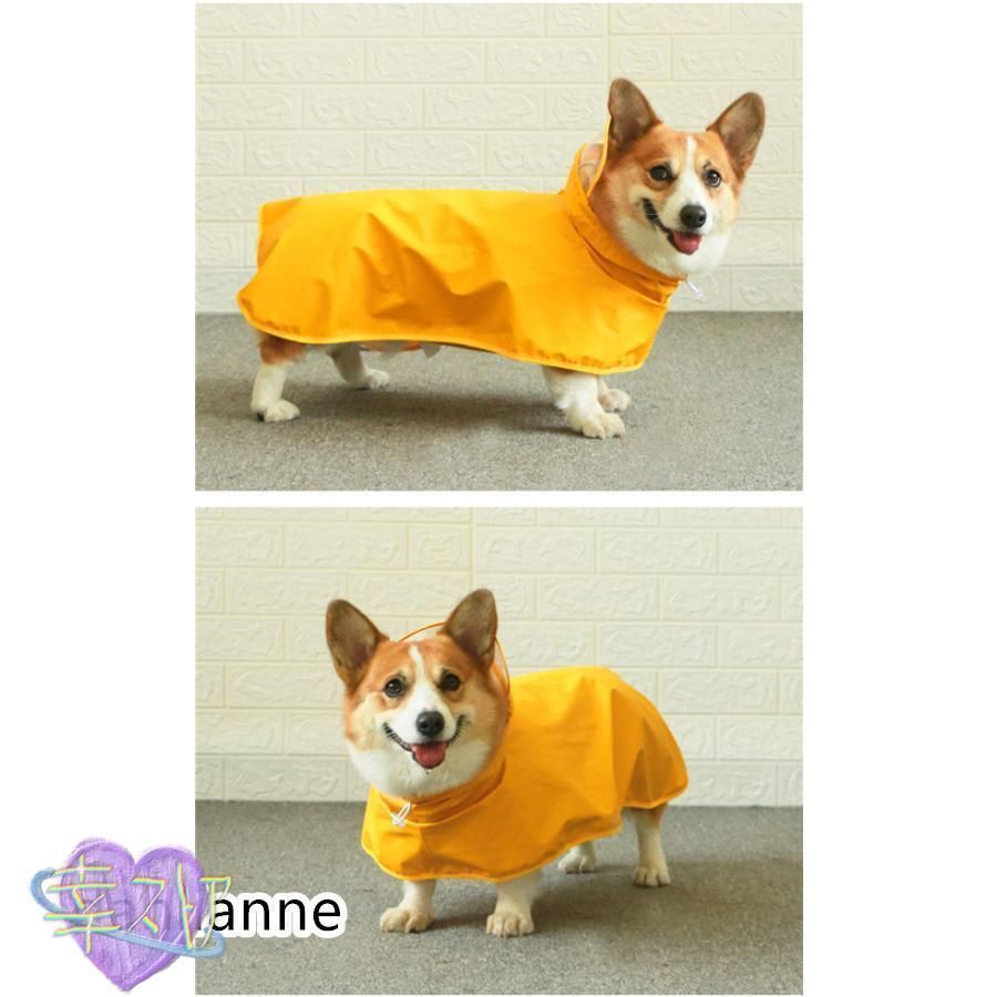 小型犬 コーギー