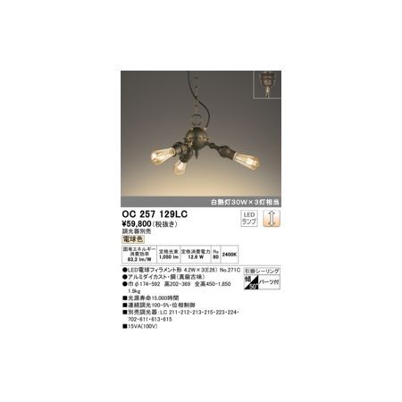 【新品・7営業日以内発送】オーデリック ODELIC OC257129LC ランプ別梱包【沖縄離島販売不可】