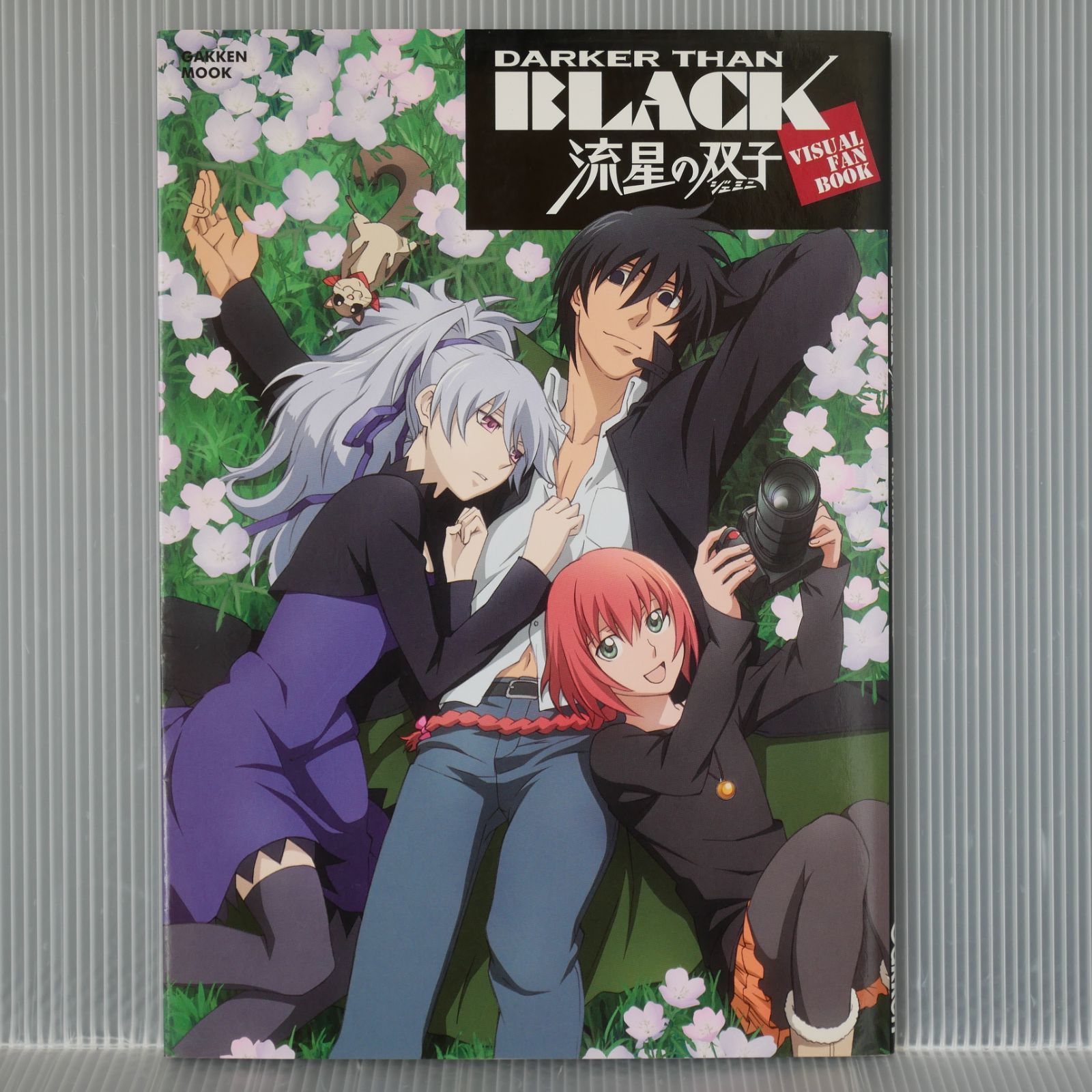 初版 絶版 ダーカーザンブラック 流星の双子 ビジュアルファン