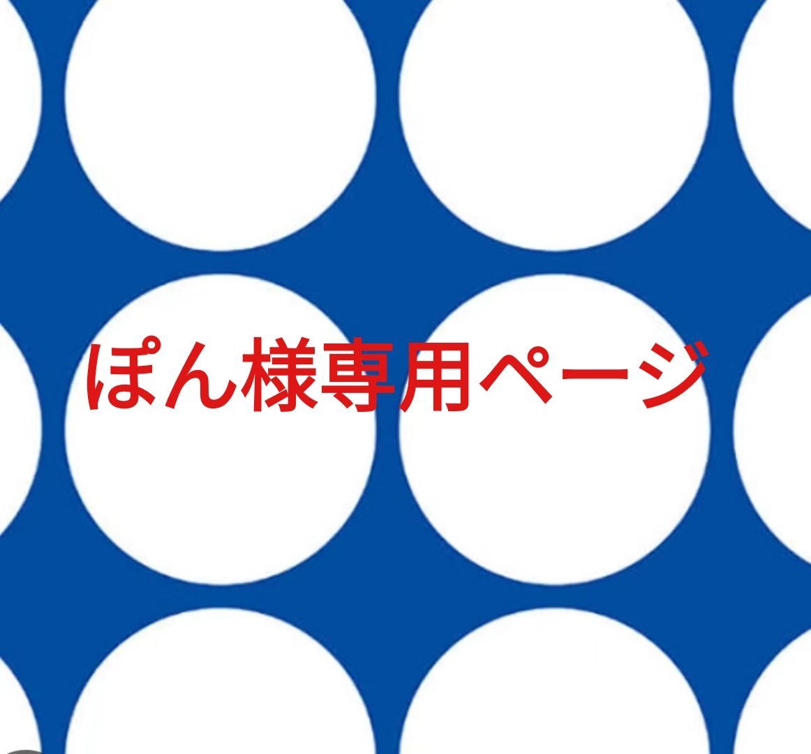 ぽん様専用ページです。 - メルカリ